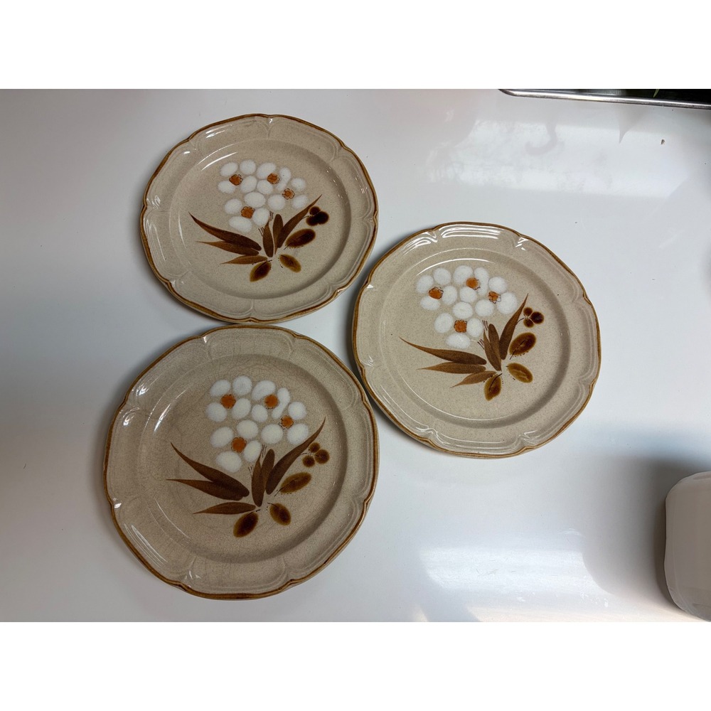 Hearthside Castlewood Stoneware Dinner Plates Japan Floral Vintage (3) Lot 10.5"